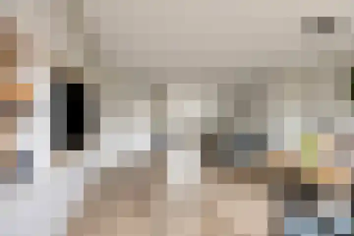 Praamkade 14 Zoetermeer thumbnail 16