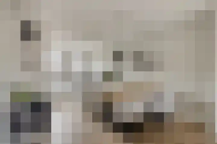 Praamkade 14 Zoetermeer thumbnail 17