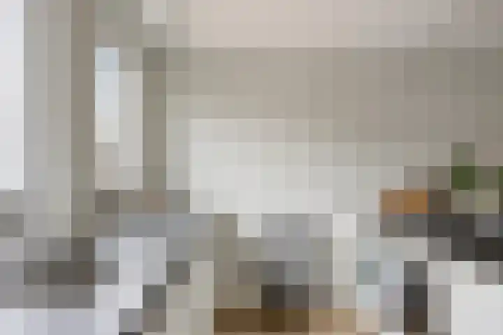 Praamkade 14 Zoetermeer thumbnail 19