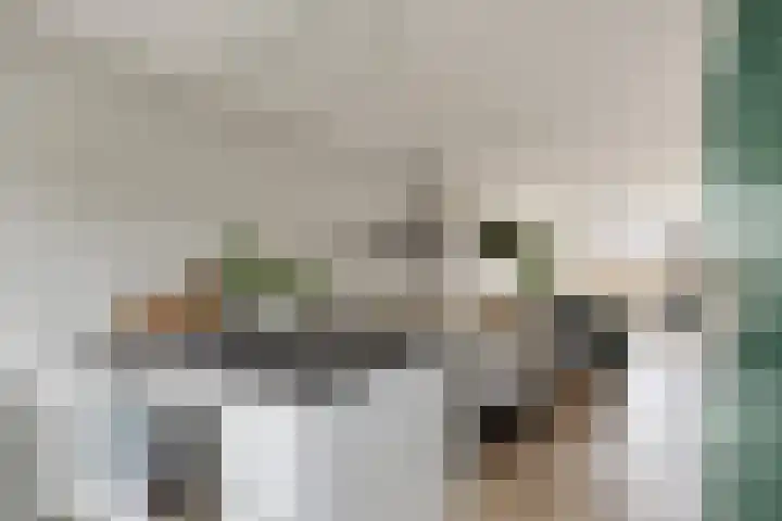 Praamkade 14 Zoetermeer thumbnail 20