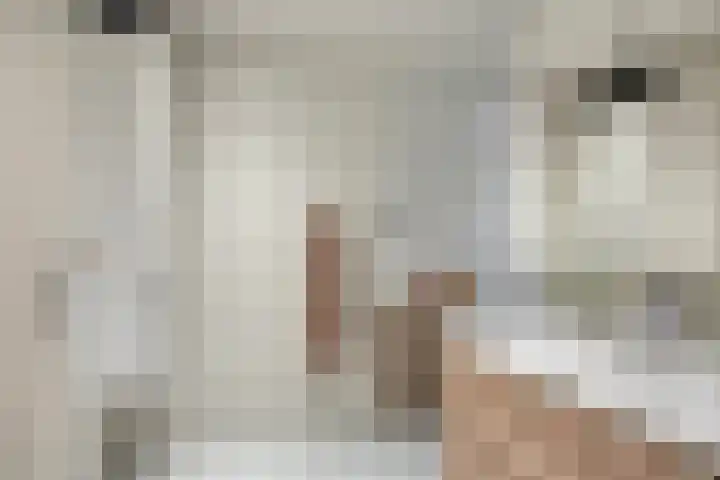 Praamkade 14 Zoetermeer thumbnail 29