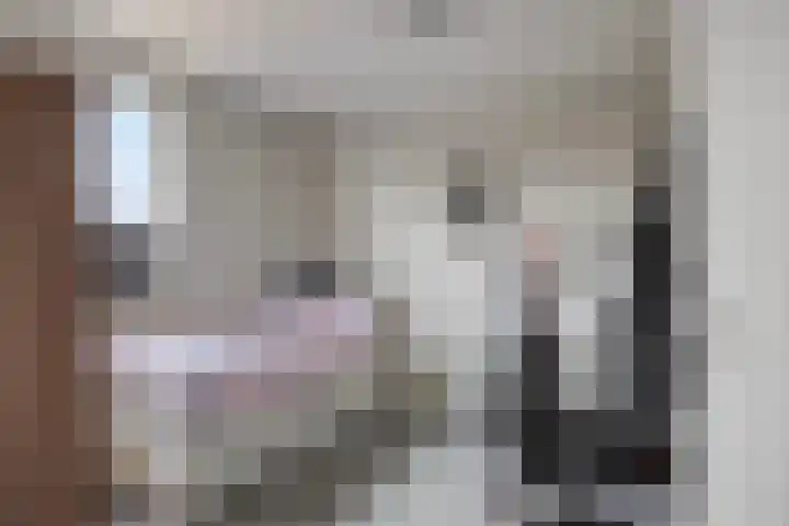 Praamkade 14 Zoetermeer thumbnail 32