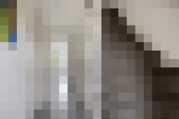 Praamkade 14 Zoetermeer thumbnail 34