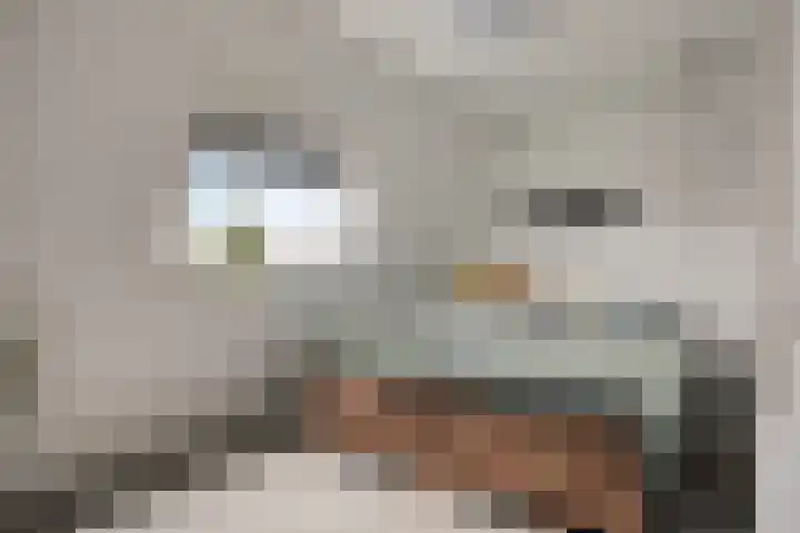 Praamkade 14 Zoetermeer thumbnail 36