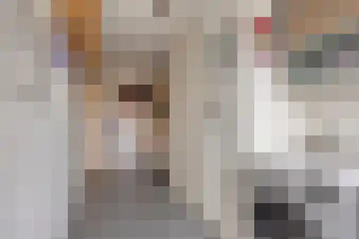 Praamkade 14 Zoetermeer thumbnail 41