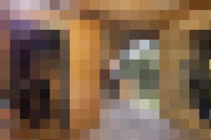 Praamkade 14 Zoetermeer thumbnail 43