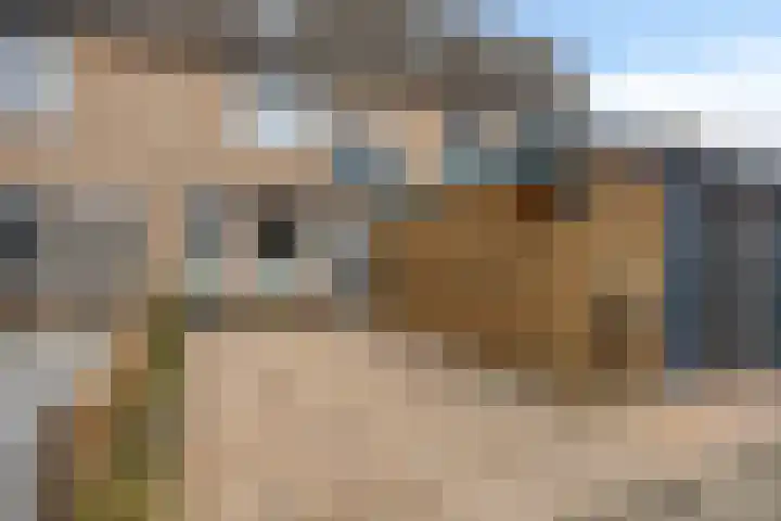 Praamkade 14 Zoetermeer thumbnail 8