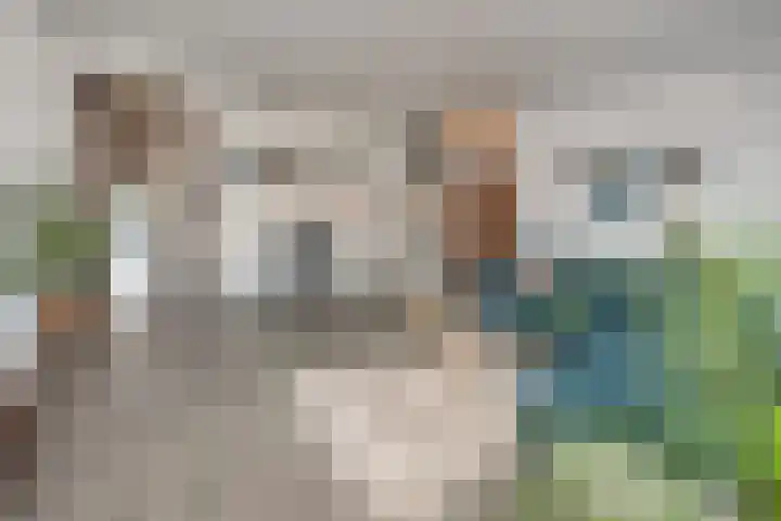 Praamplein 22 c Aalsmeer thumbnail 6