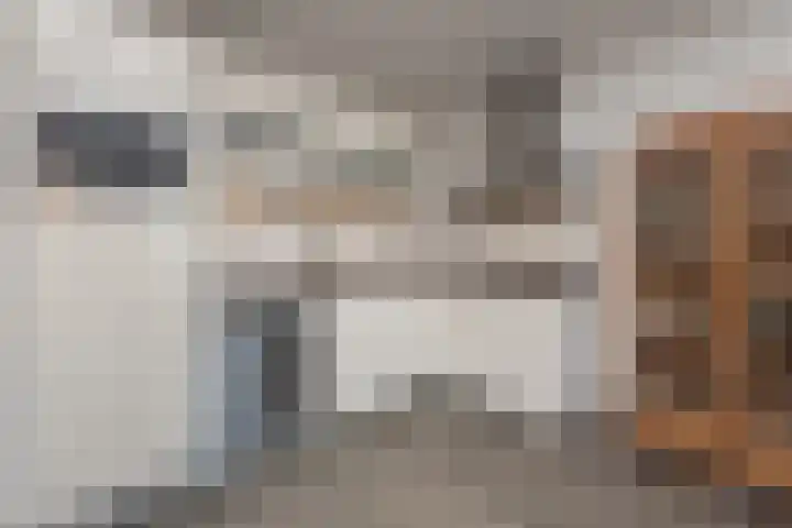 Praamplein 22 c Aalsmeer thumbnail 7