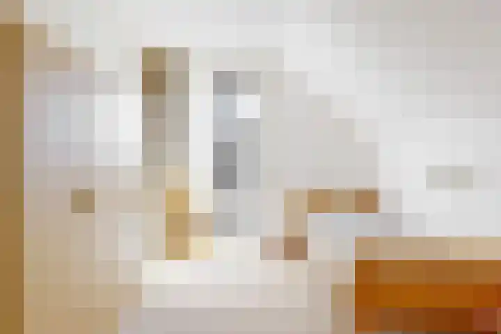 Praamplein 24 b Aalsmeer thumbnail 21