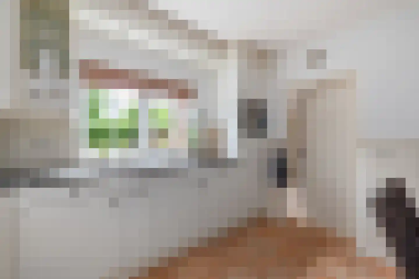 Praamstraat 40 Raalte thumbnail 13