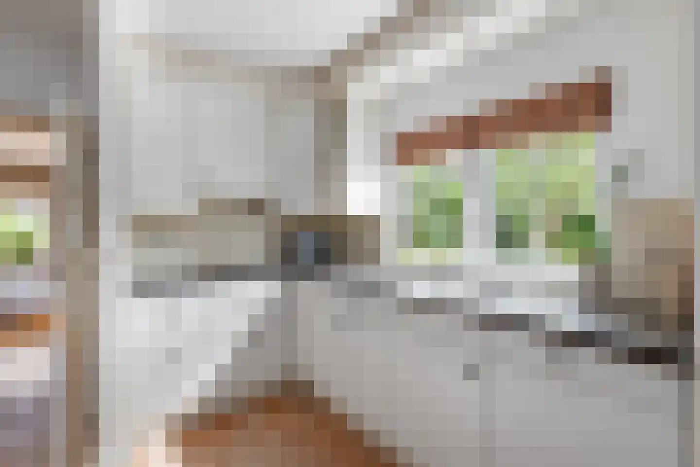 Praamstraat 40 Raalte thumbnail 14