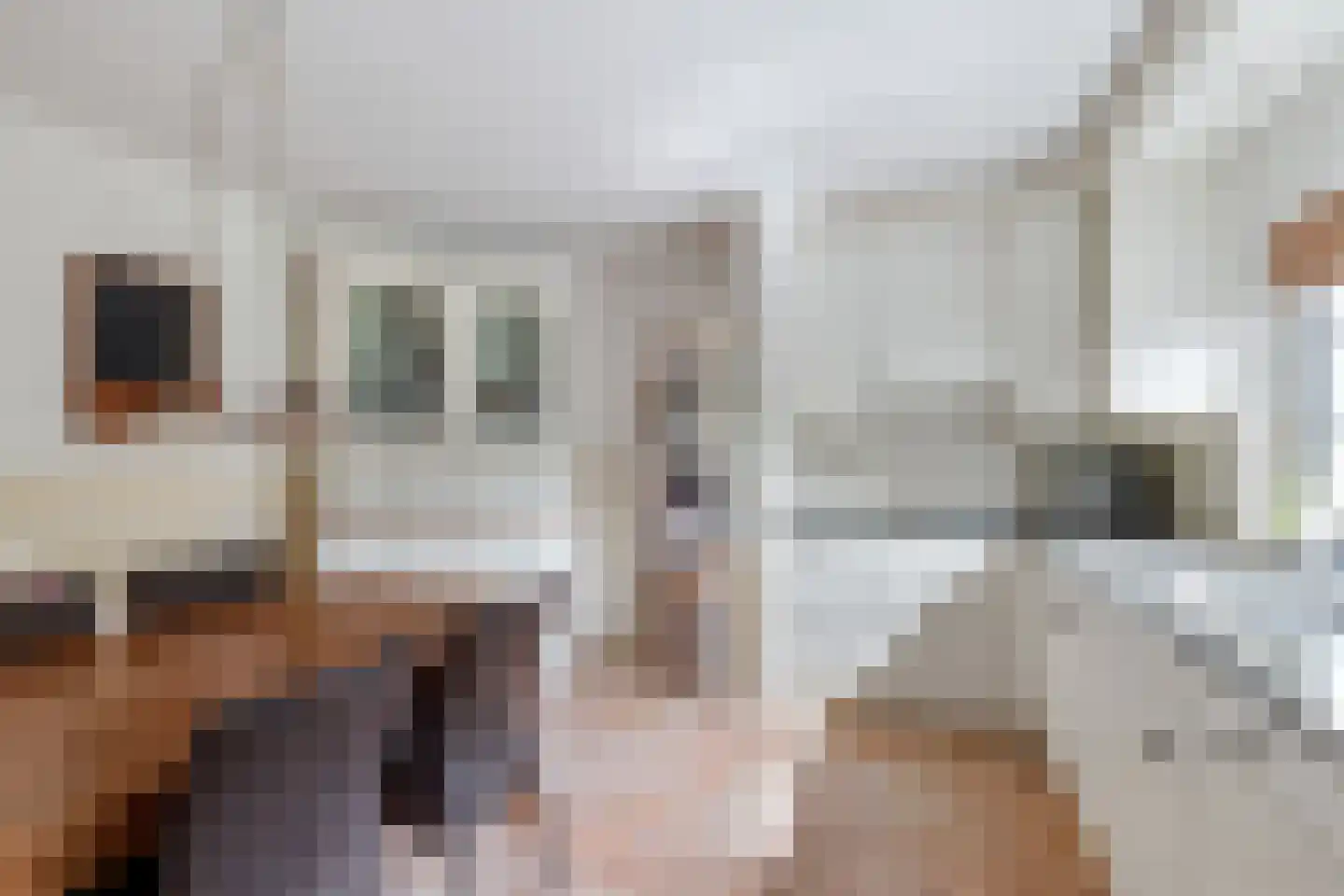Praamstraat 40 Raalte thumbnail 15