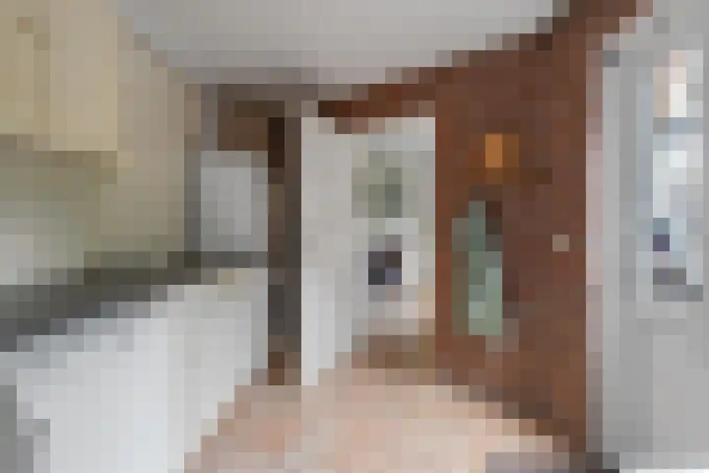 Praamstraat 40 Raalte thumbnail 17