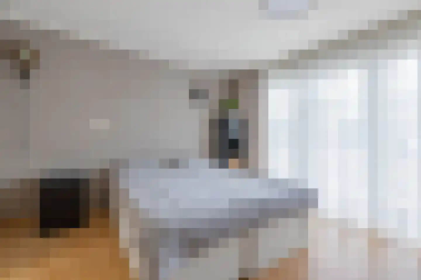 Praamstraat 40 Raalte thumbnail 18