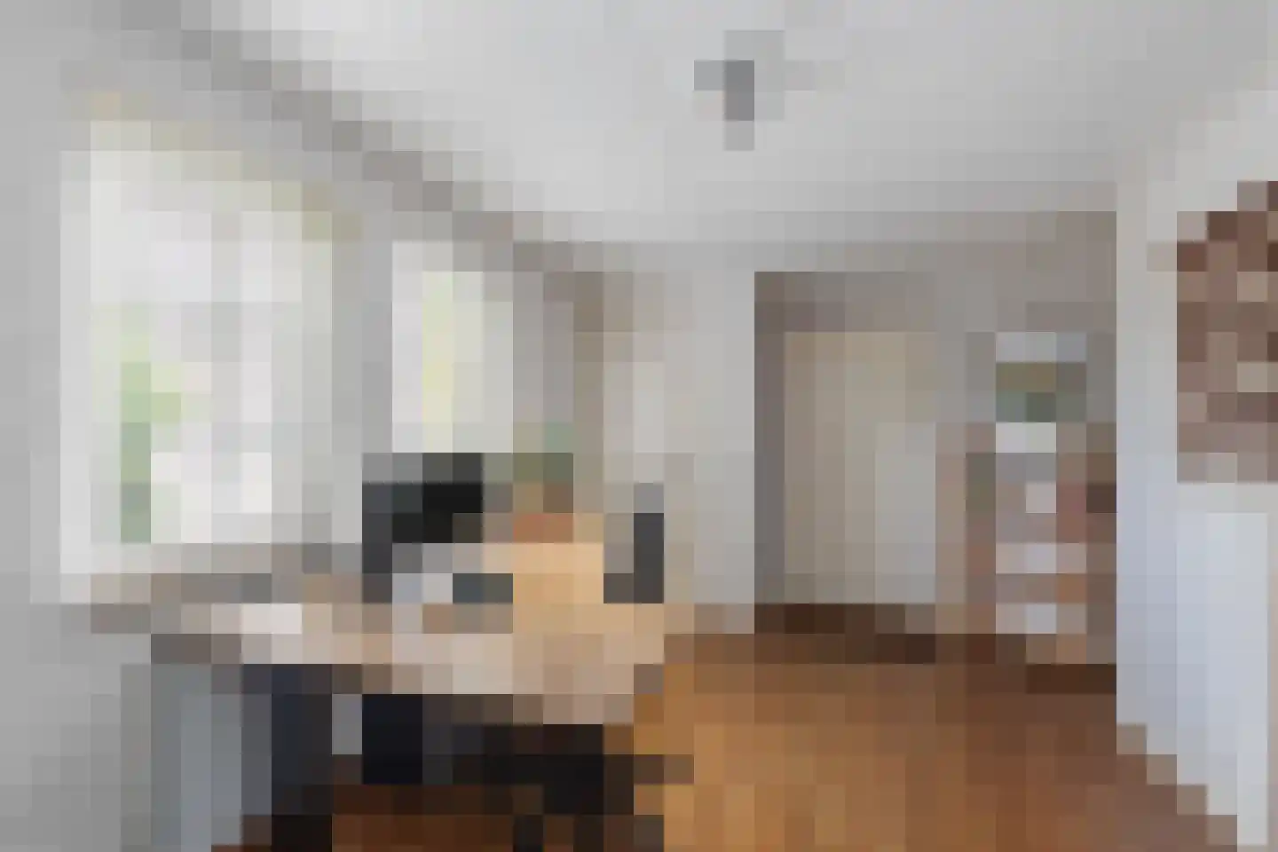 Praamstraat 40 Raalte thumbnail 26