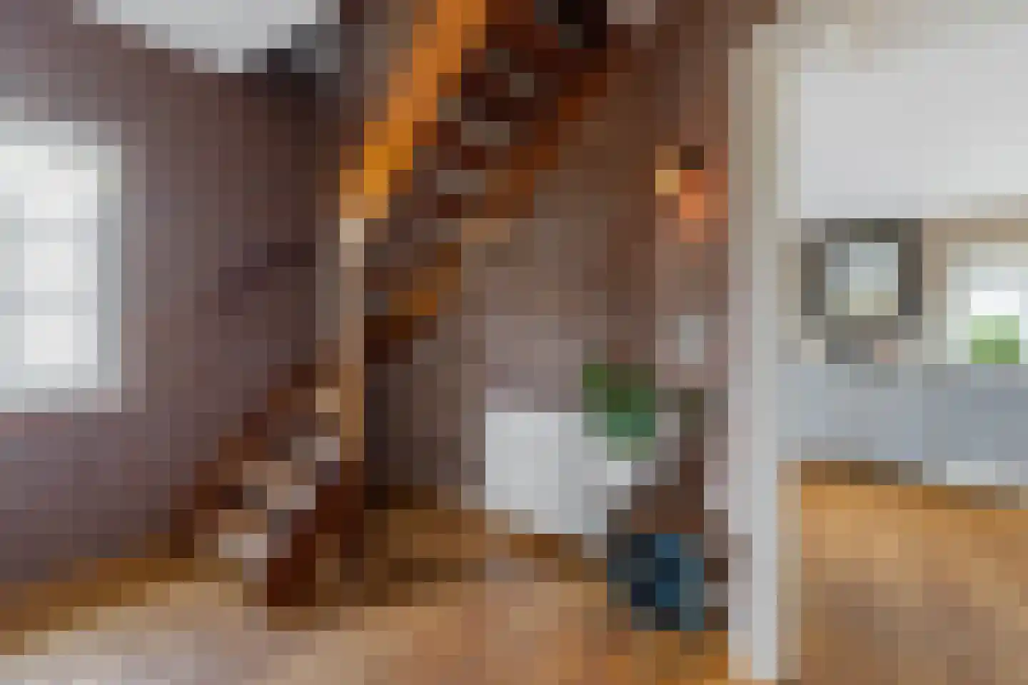 Praamstraat 40 Raalte thumbnail 28