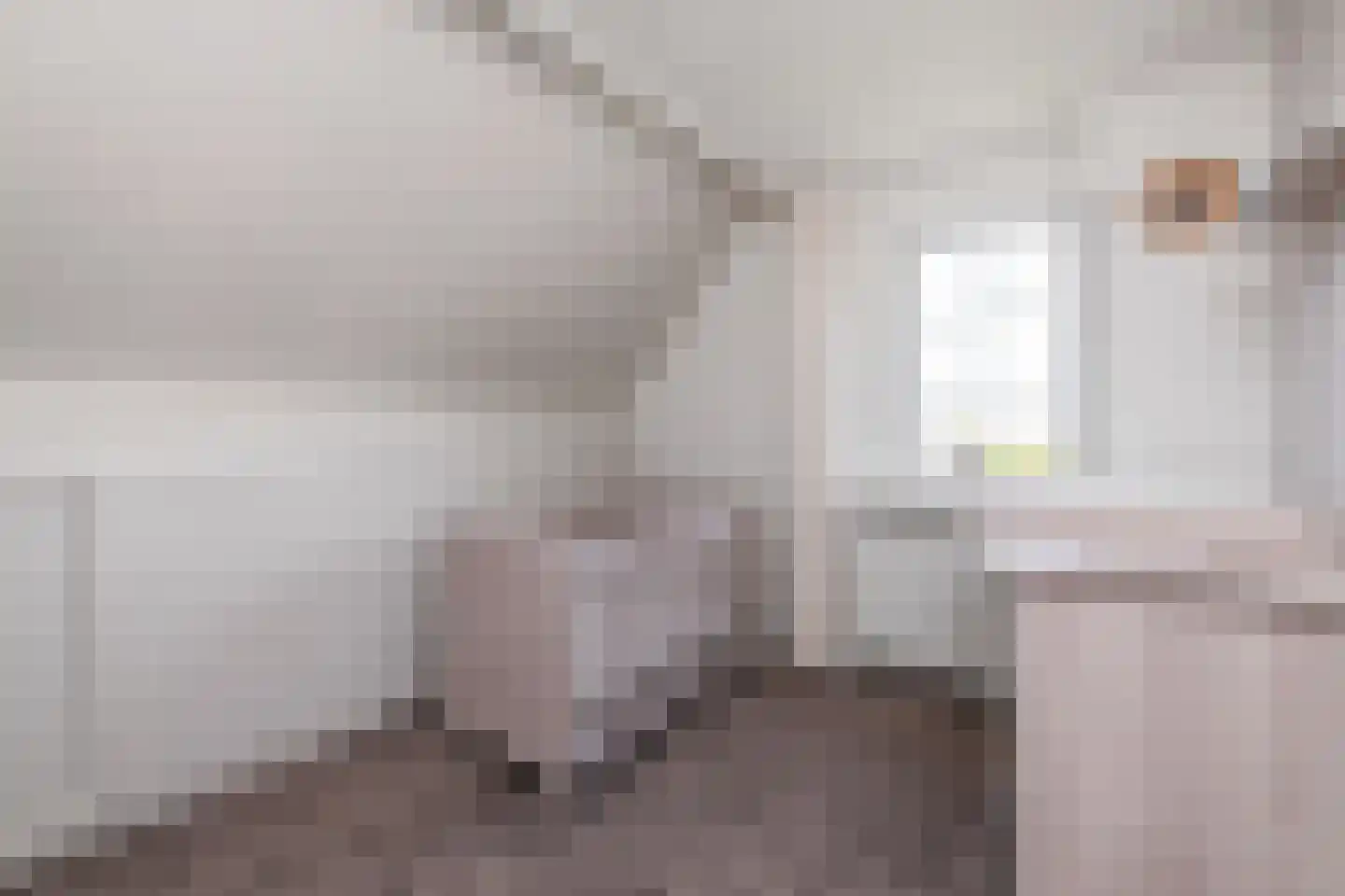 Praamstraat 40 Raalte thumbnail 32