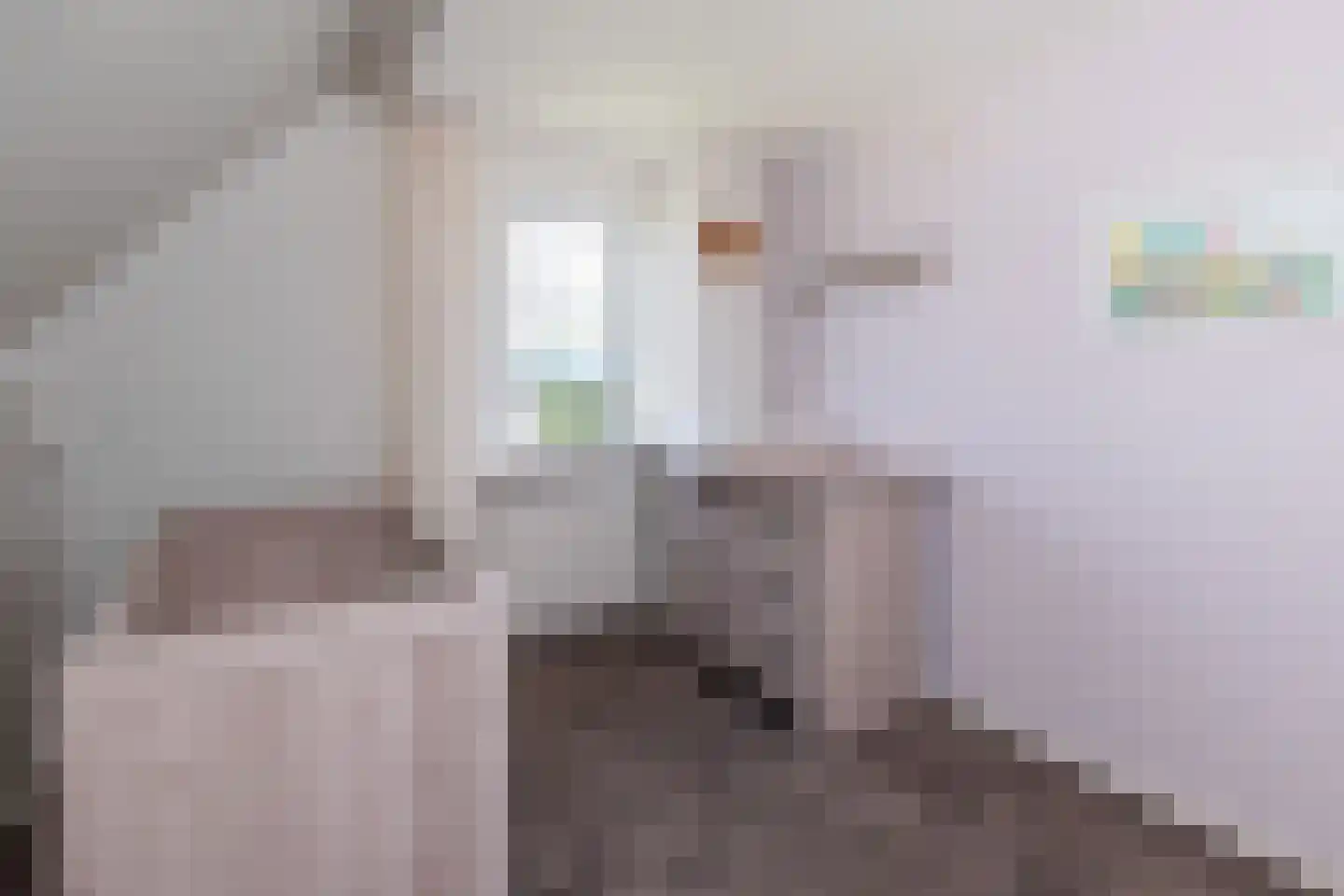 Praamstraat 40 Raalte thumbnail 33