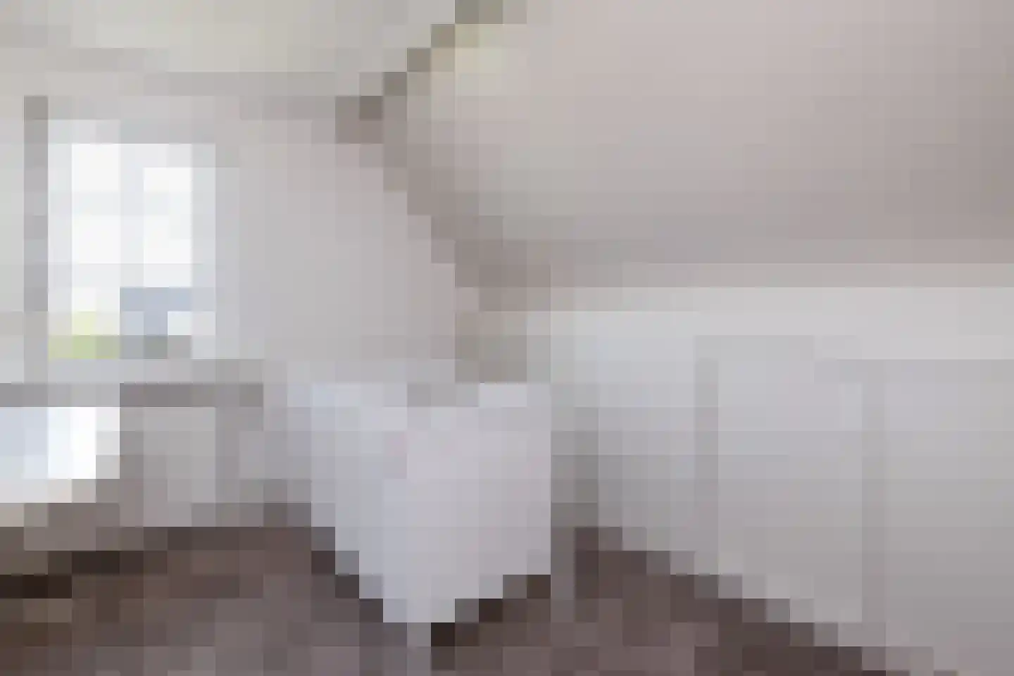 Praamstraat 40 Raalte thumbnail 34