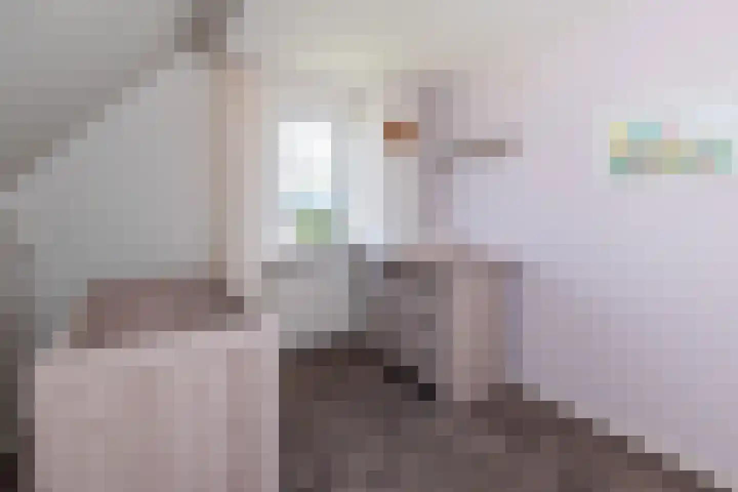 Praamstraat 40 Raalte thumbnail 34