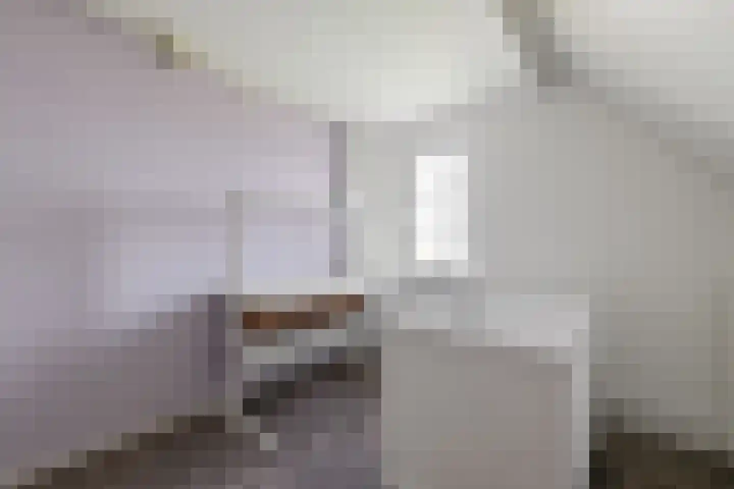 Praamstraat 40 Raalte thumbnail 35