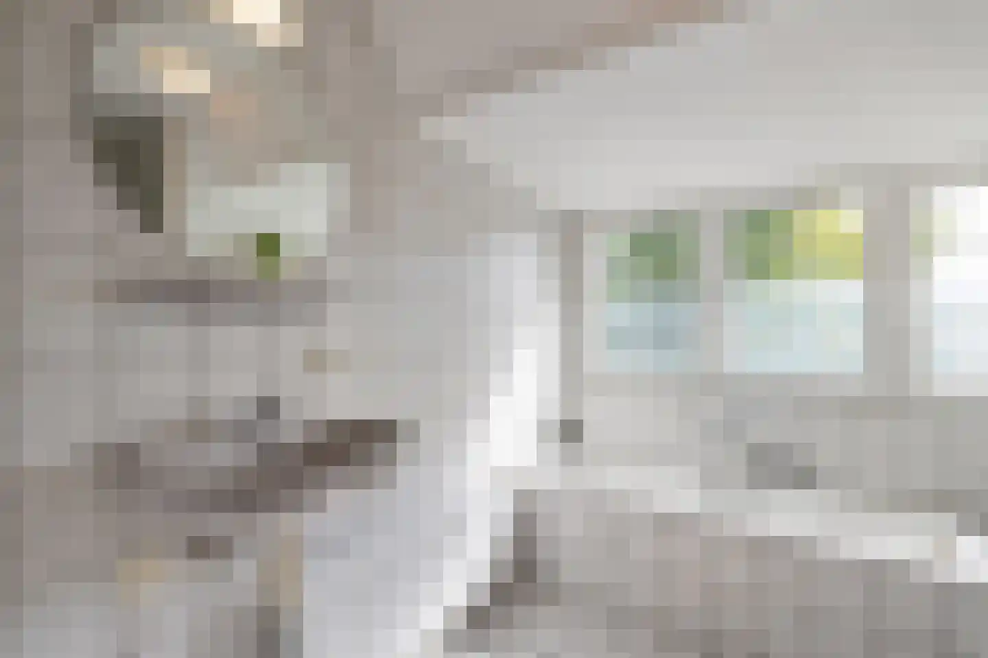Praamstraat 40 Raalte thumbnail 36