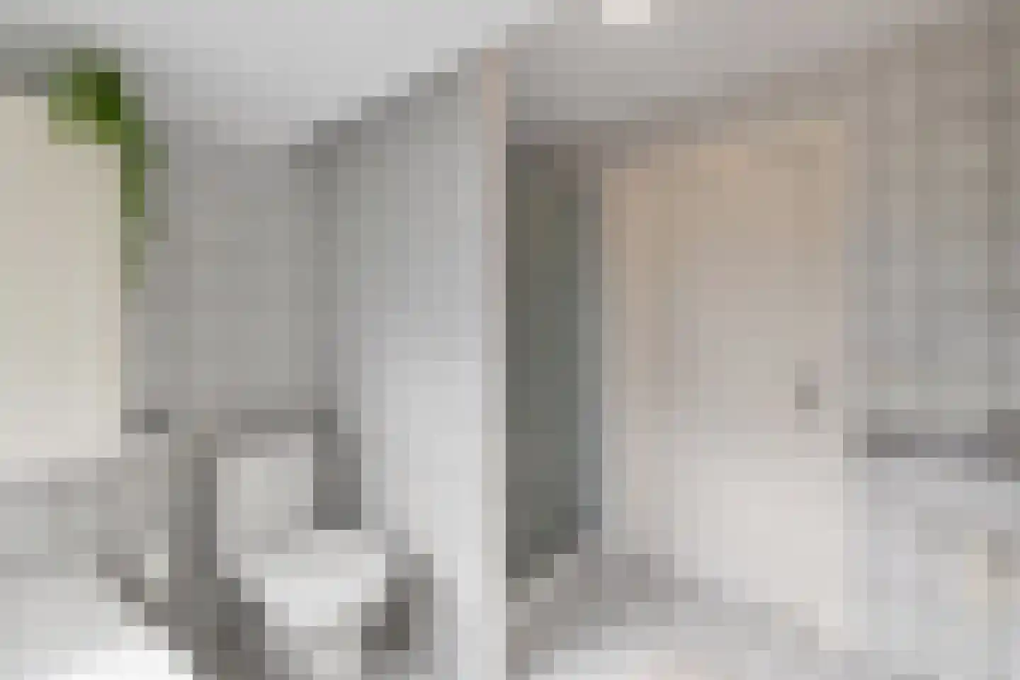 Praamstraat 40 Raalte thumbnail 38