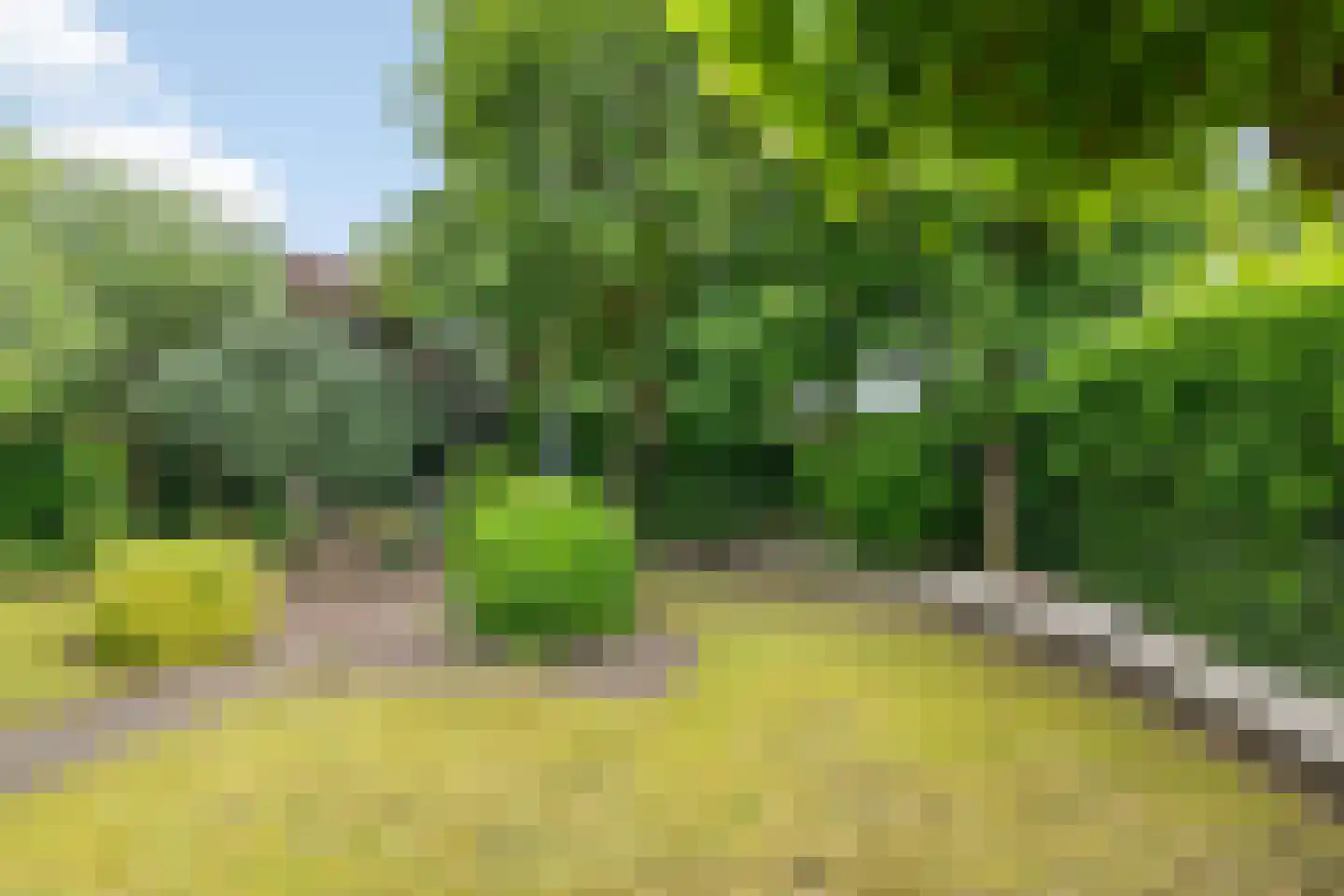 Praamstraat 40 Raalte thumbnail 46