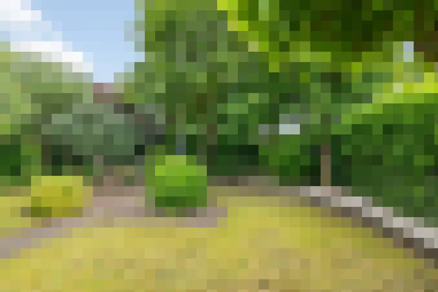 Praamstraat 40 Raalte thumbnail 47