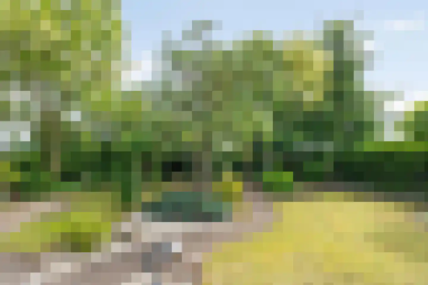 Praamstraat 40 Raalte thumbnail 48
