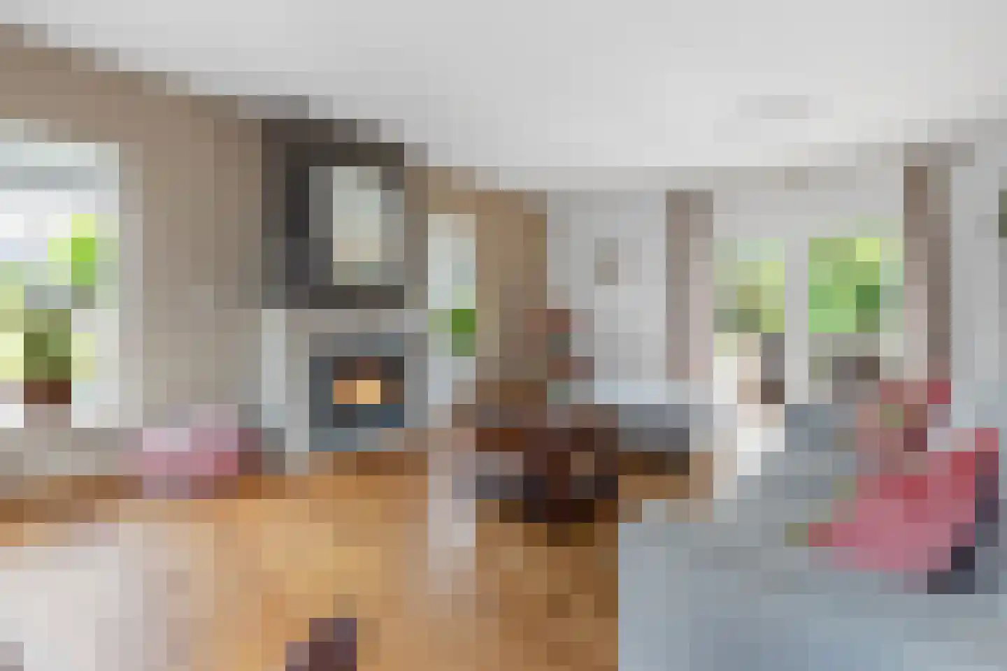 Praamstraat 40 Raalte thumbnail 6