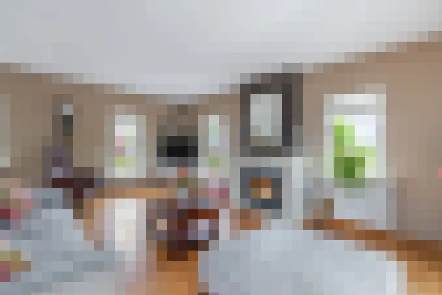 Praamstraat 40 Raalte thumbnail 7