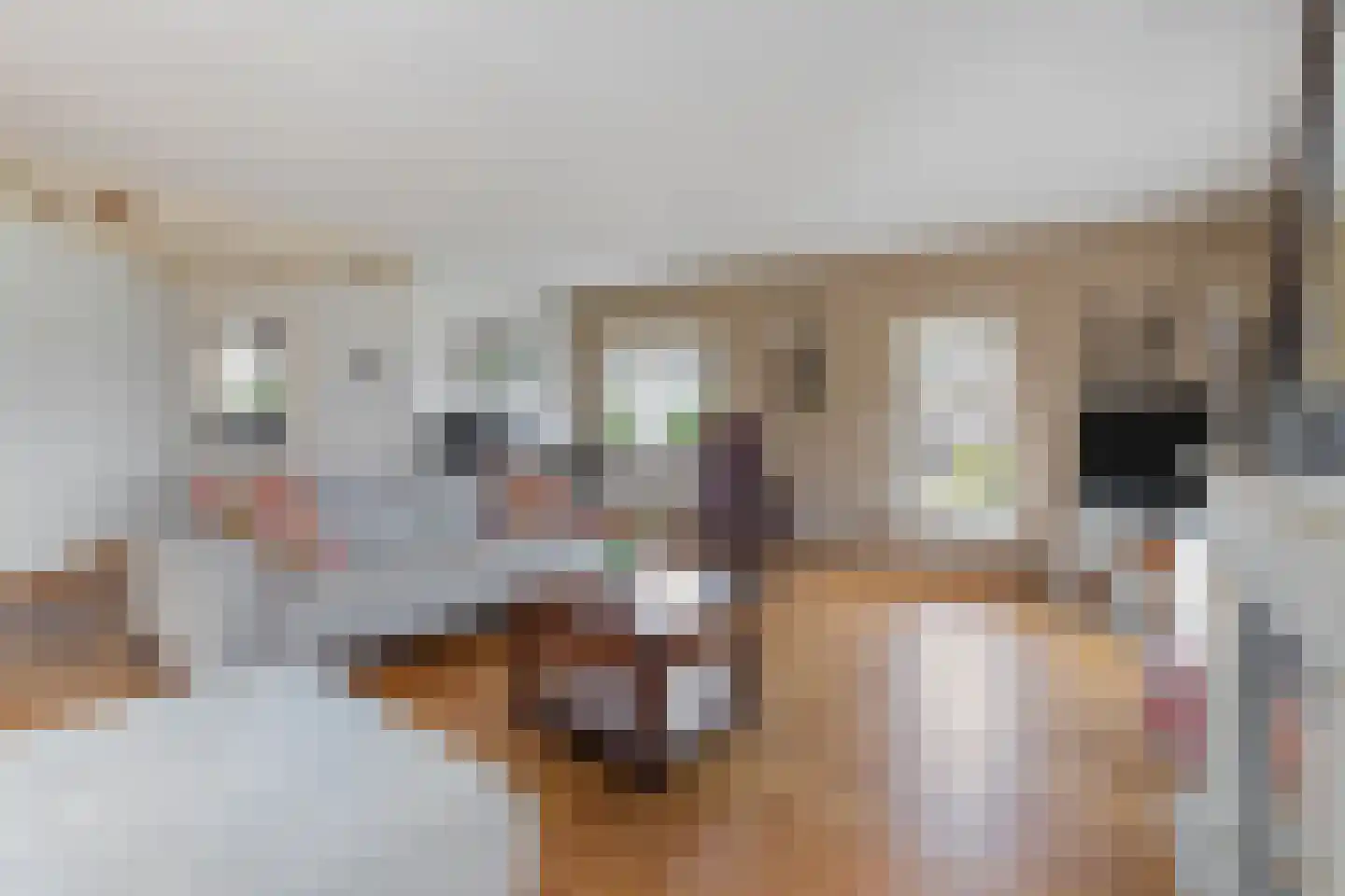 Praamstraat 40 Raalte thumbnail 8