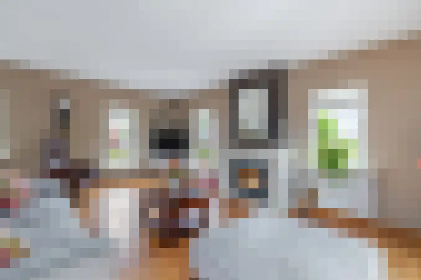 Praamstraat 40 Raalte thumbnail 9