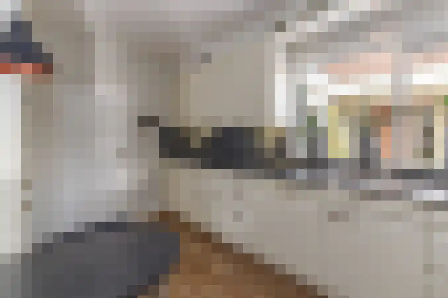 Praamstraat 60 Lemelerveld thumbnail 11