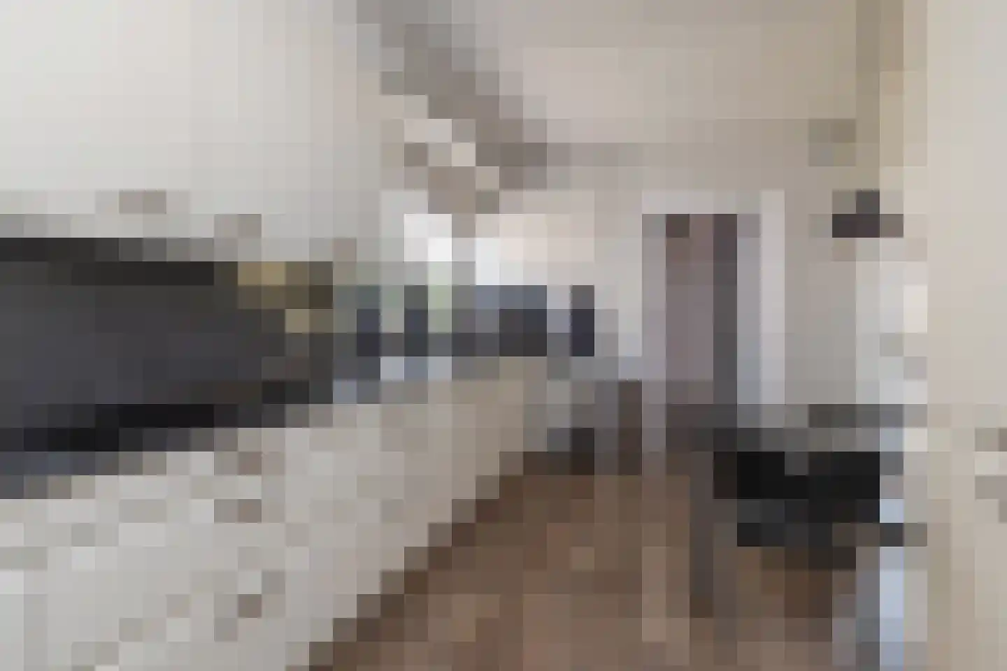 Praamstraat 60 Lemelerveld thumbnail 12