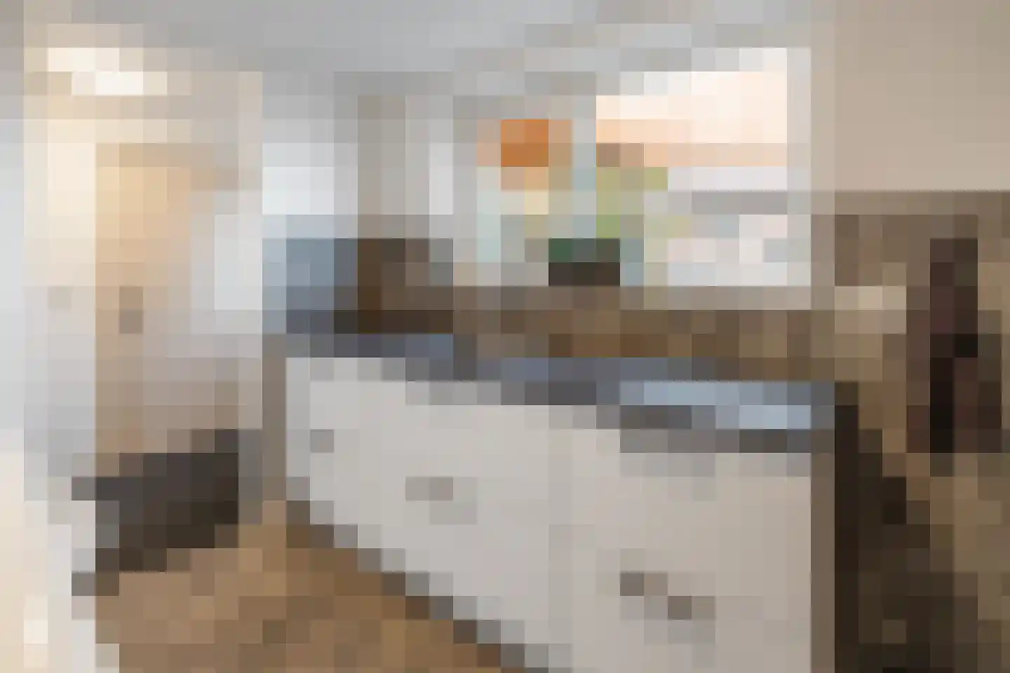 Praamstraat 60 Lemelerveld thumbnail 15