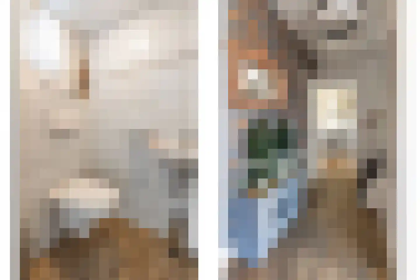 Praamstraat 60 Lemelerveld thumbnail 16