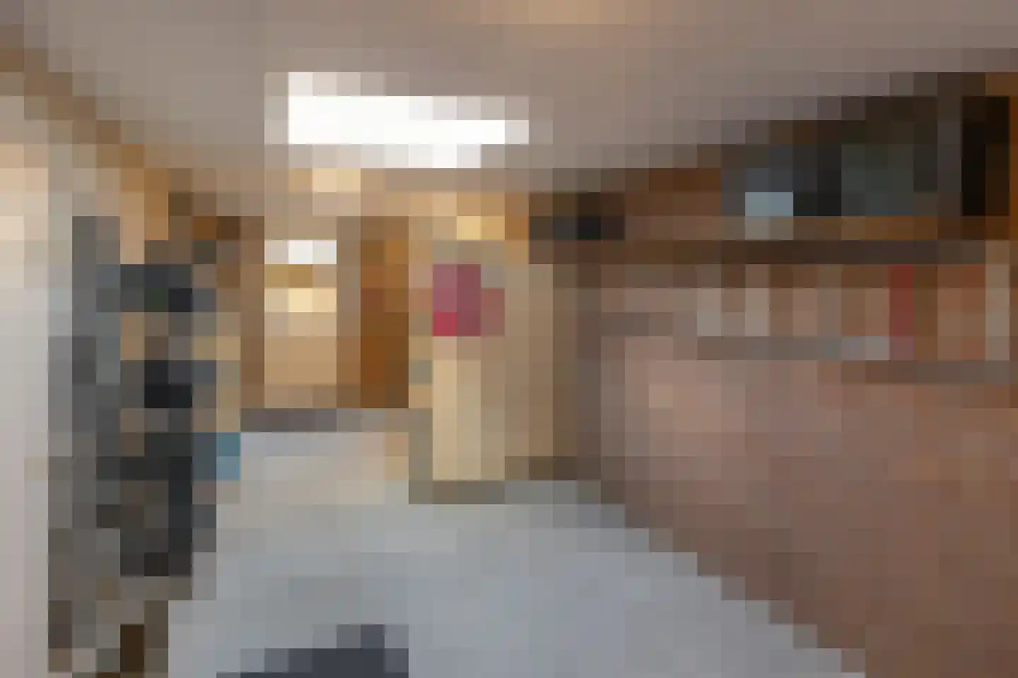 Praamstraat 60 Lemelerveld thumbnail 18