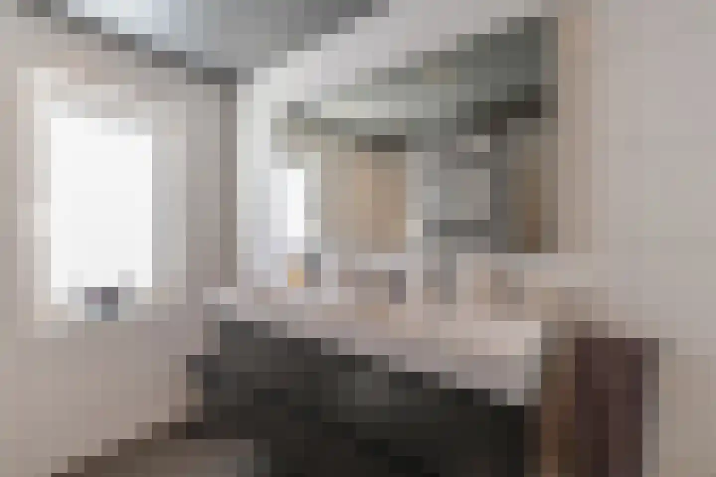 Praamstraat 60 Lemelerveld thumbnail 23