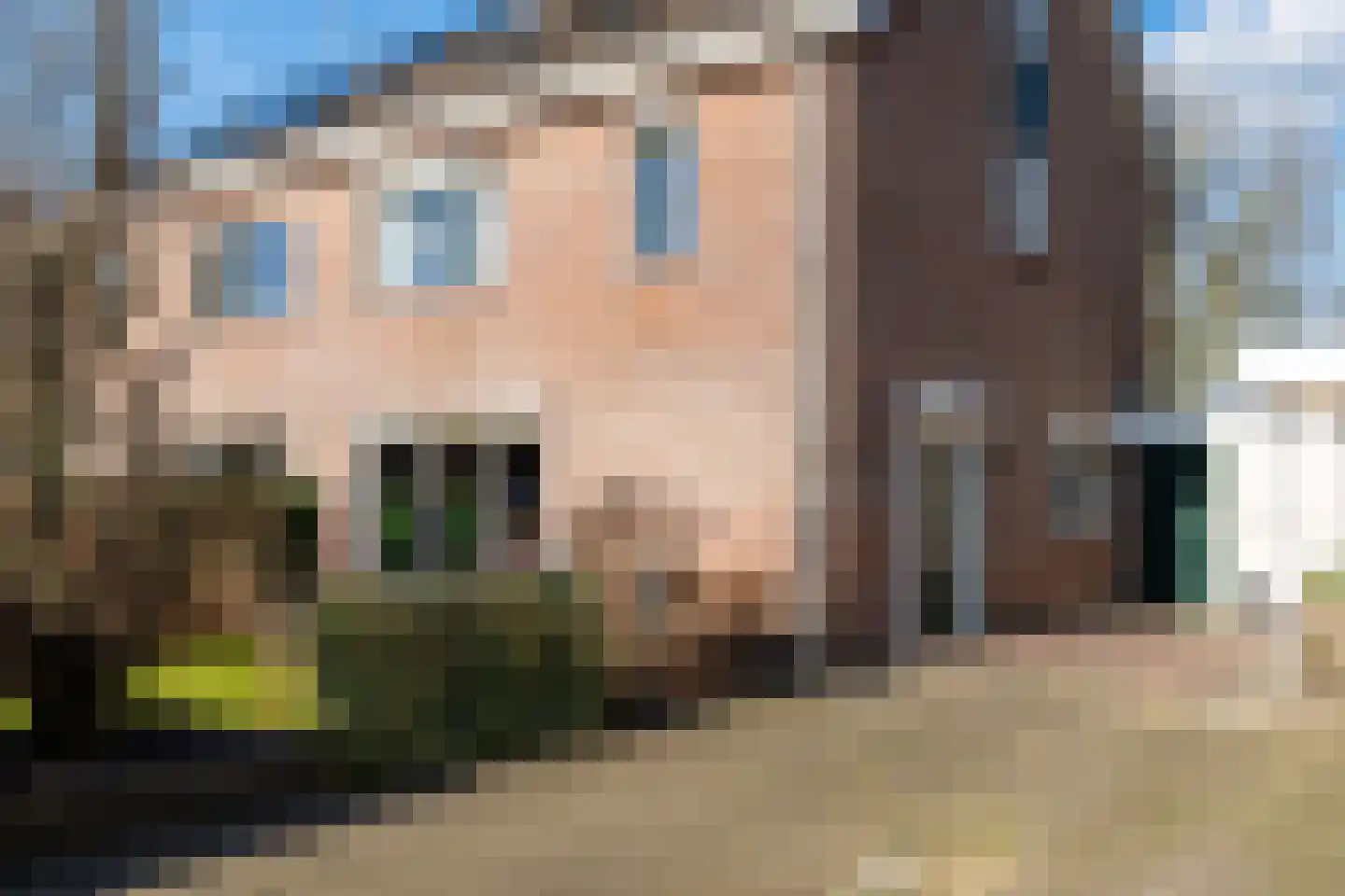 Praamstraat 60 Lemelerveld foto 3