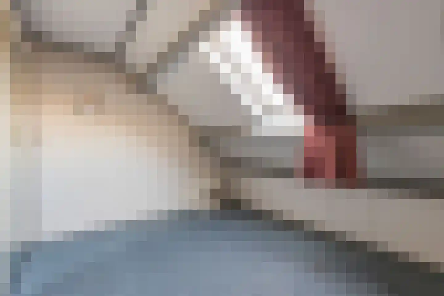 Praamstraat 60 Lemelerveld thumbnail 30