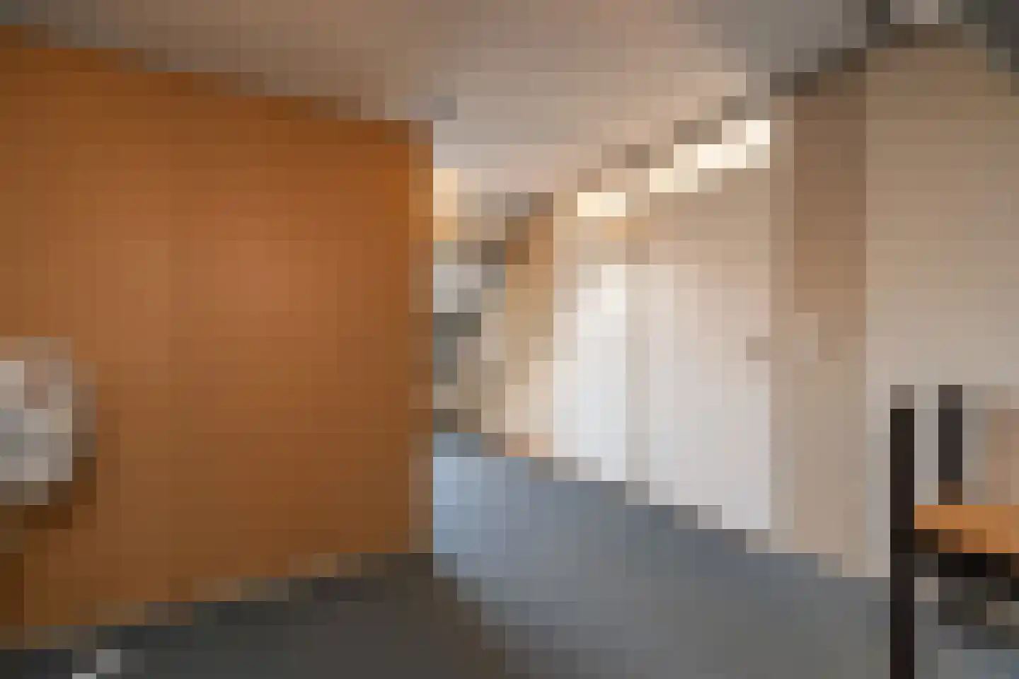 Praamstraat 60 Lemelerveld thumbnail 33