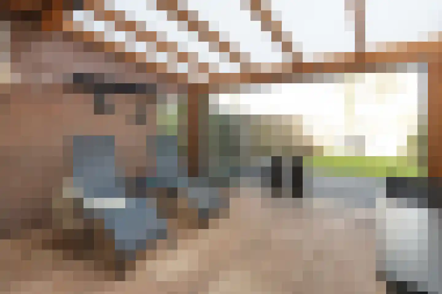 Praamstraat 60 Lemelerveld thumbnail 39