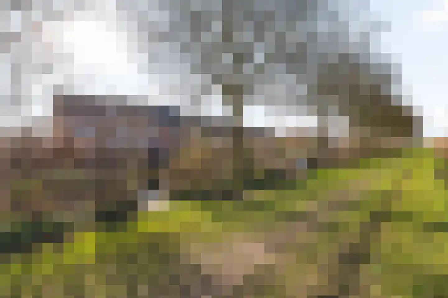 Praamstraat 60 Lemelerveld thumbnail 42