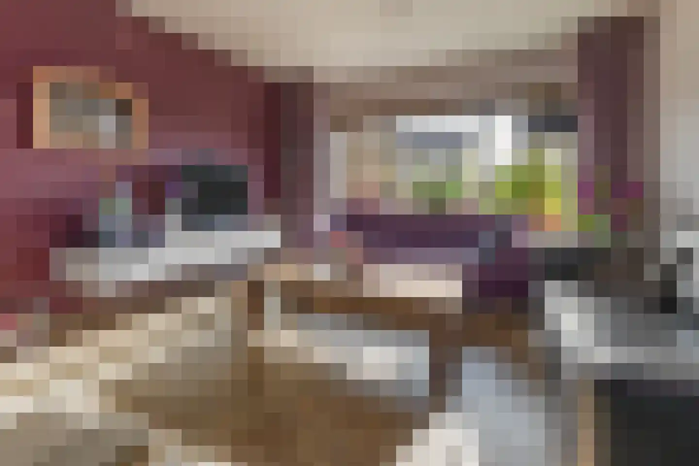 Praamstraat 60 Lemelerveld thumbnail 8