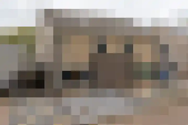 Praamweg 13 Stadskanaal thumbnail 33