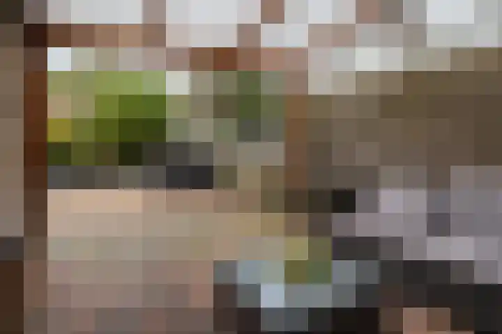 Praamweg 13 Stadskanaal thumbnail 34