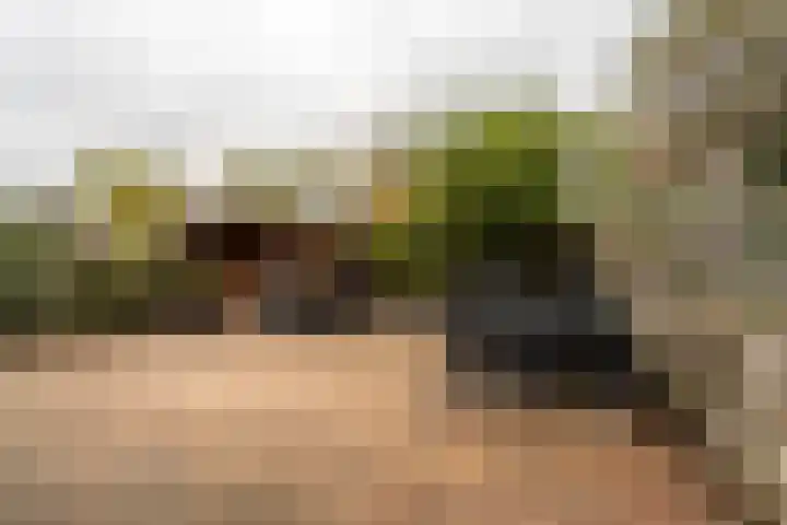 Praamweg 13 Stadskanaal thumbnail 36